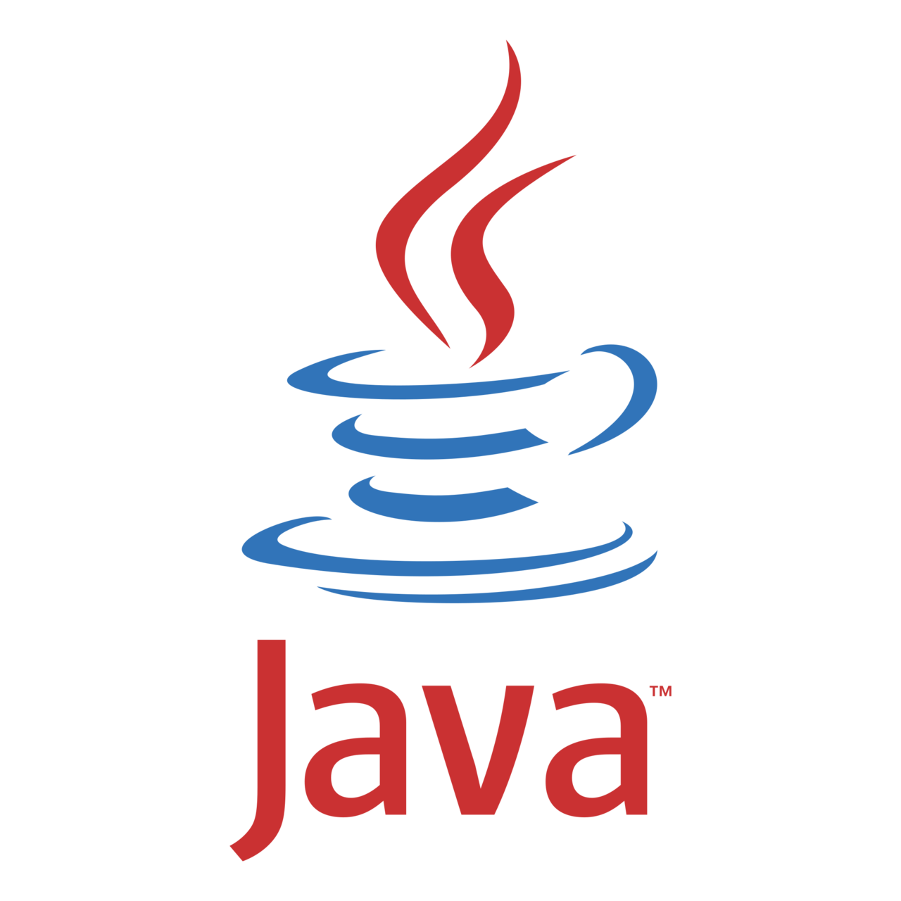 Software Services in Dehradun Java & Javascript